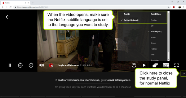 Language Learning with Netflix & -AFL